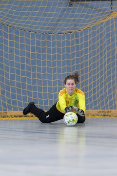Bild 298 - F NFV Futsalturnier